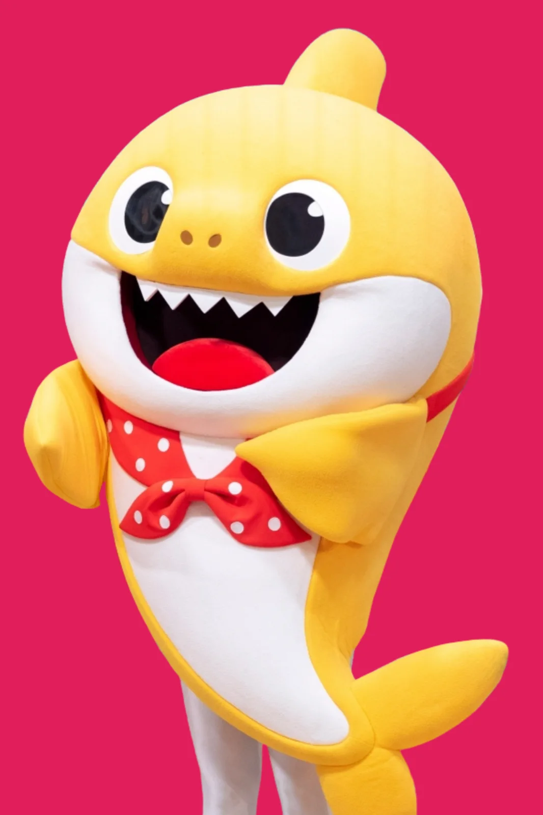 Singing Shark party character in Fort Lauderdale