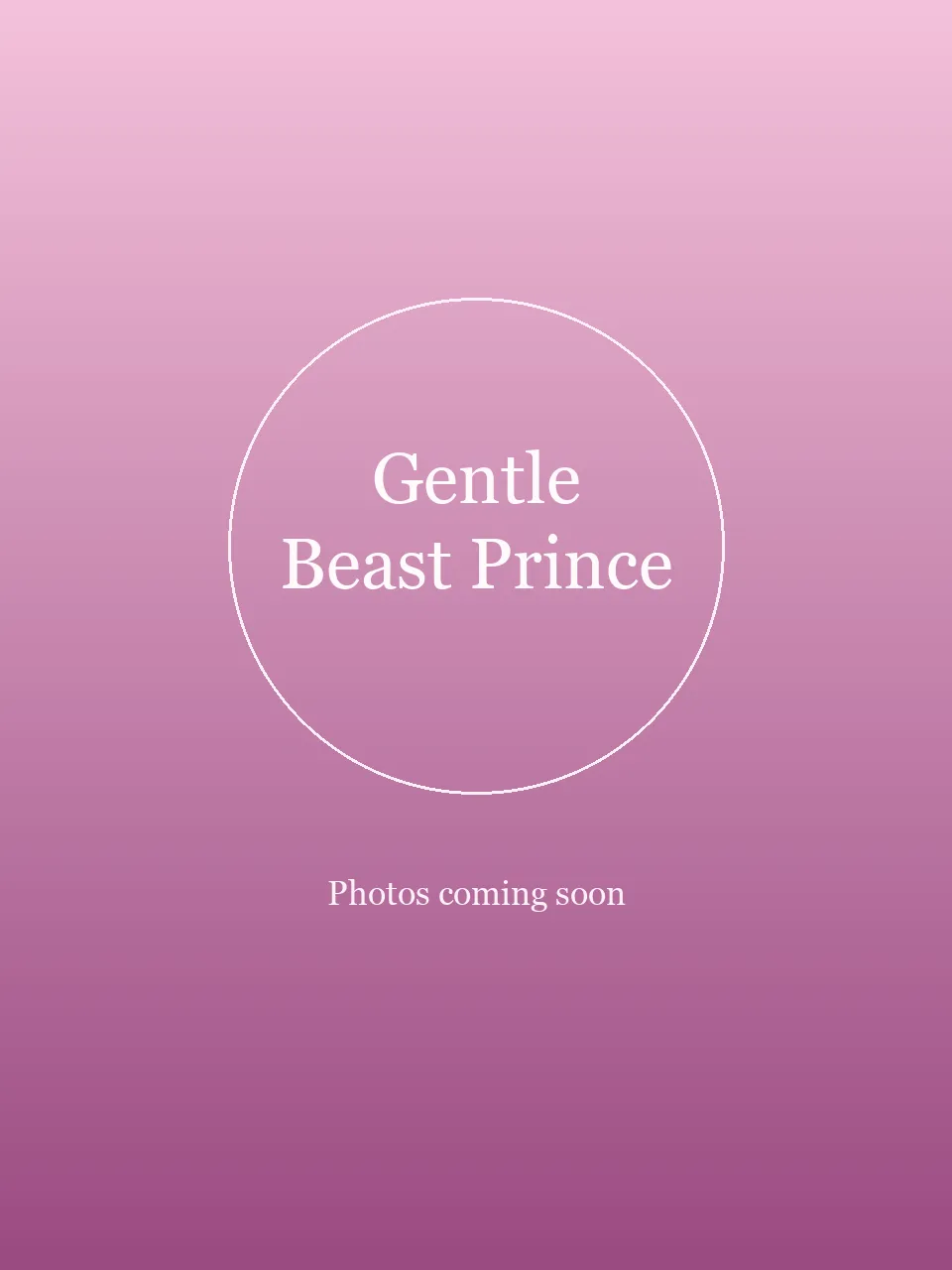 Gentle Beast Prince party character in Fort Lauderdale