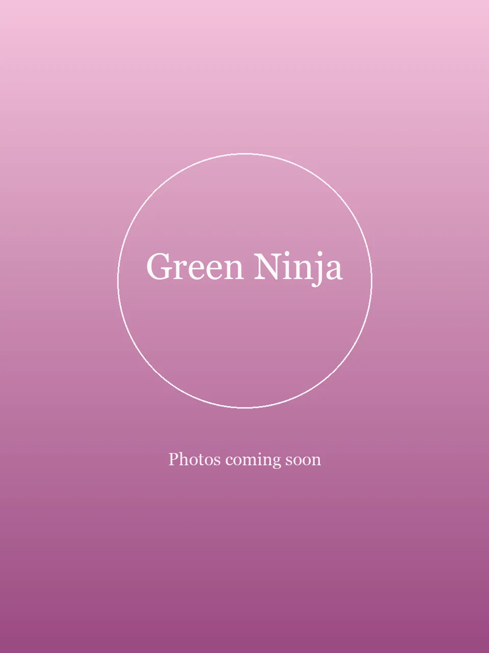 Green Ninja party character in Fort Lauderdale