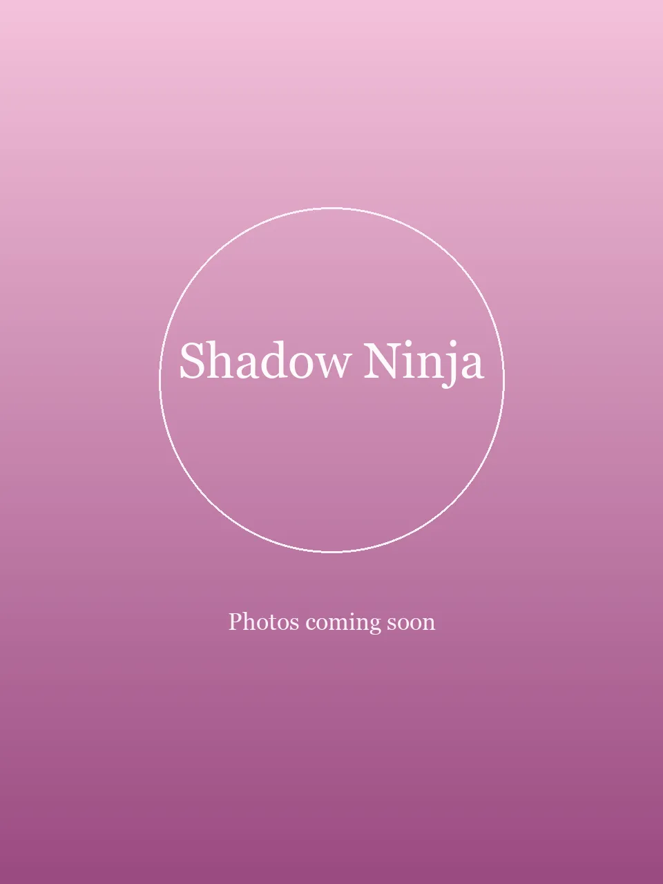 Shadow Ninja party character in Fort Lauderdale