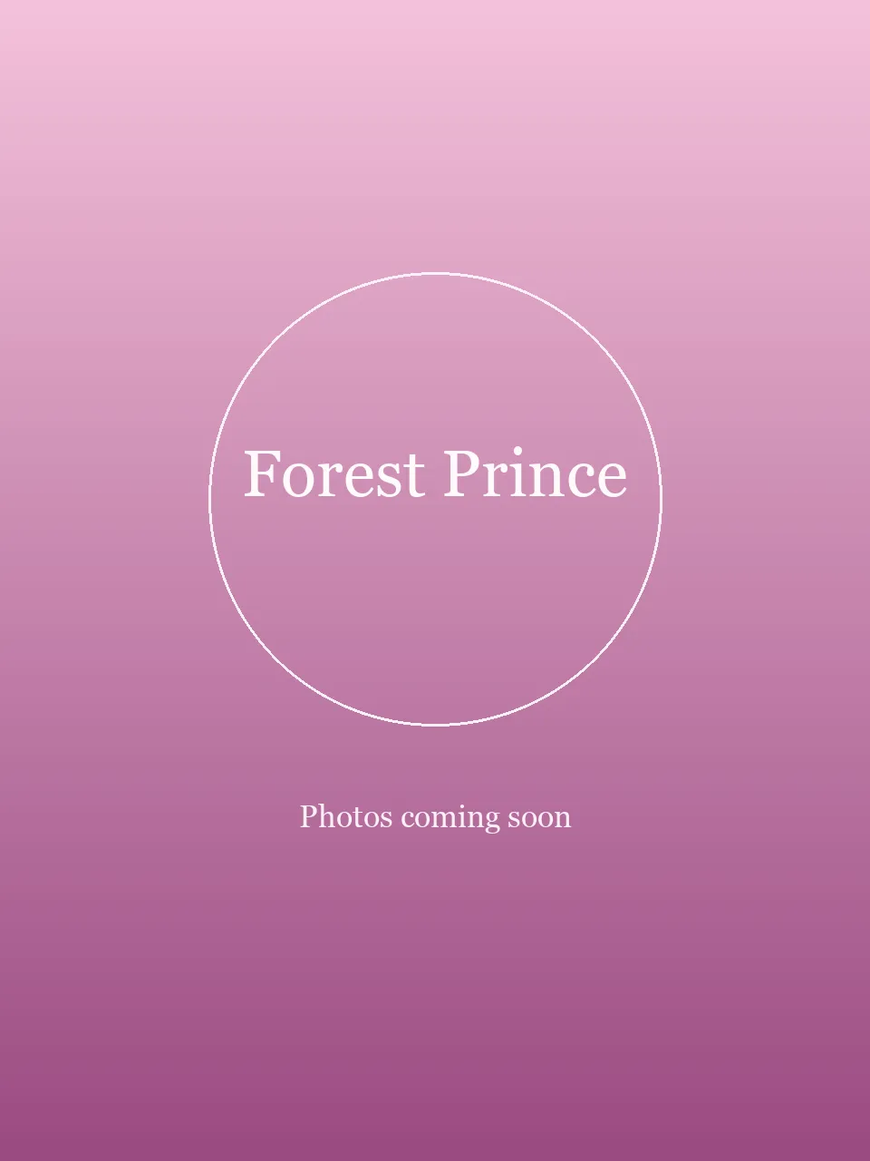 Forest Prince party character in Fort Lauderdale
